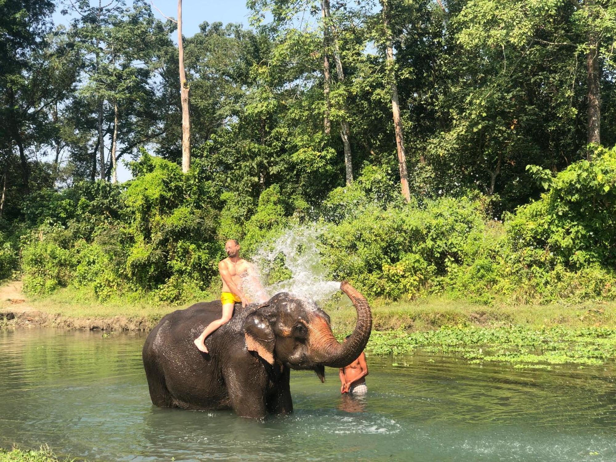 Hotel Tharu Garden And Beer Bar Chitwan Zewnętrze zdjęcie