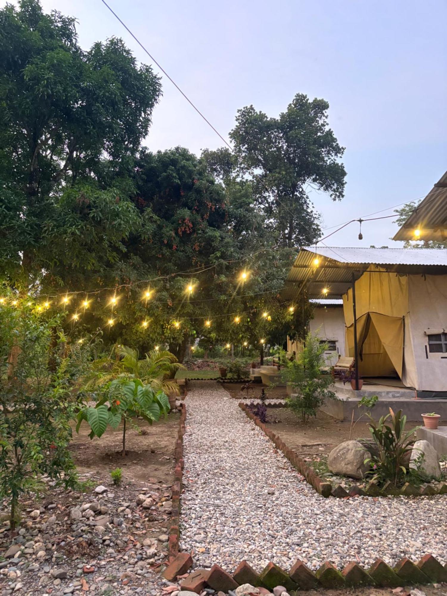 Hotel Tharu Garden And Beer Bar Chitwan Zewnętrze zdjęcie